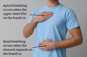 An informative image showing the 2 most common forms of breathing patterns