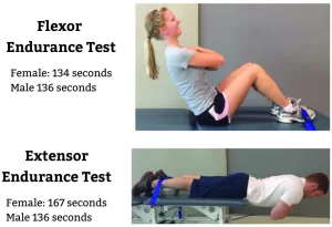 An informative image showing the flexor and extensor endurance test for the lumbar spine along with normative data.