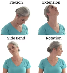 An informative image showing the 4 ranges of the cervical spine