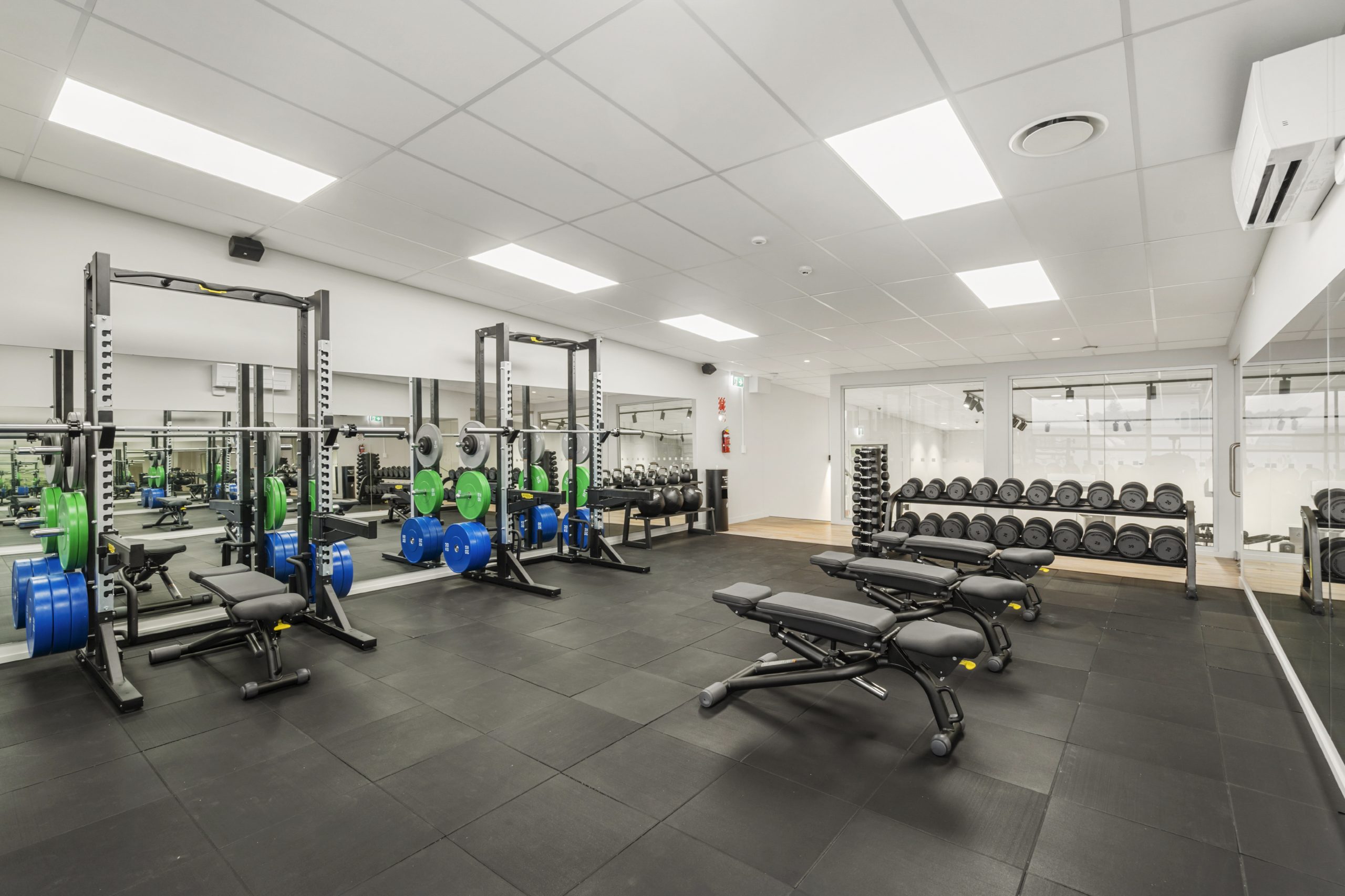 Functional Free Weights Area