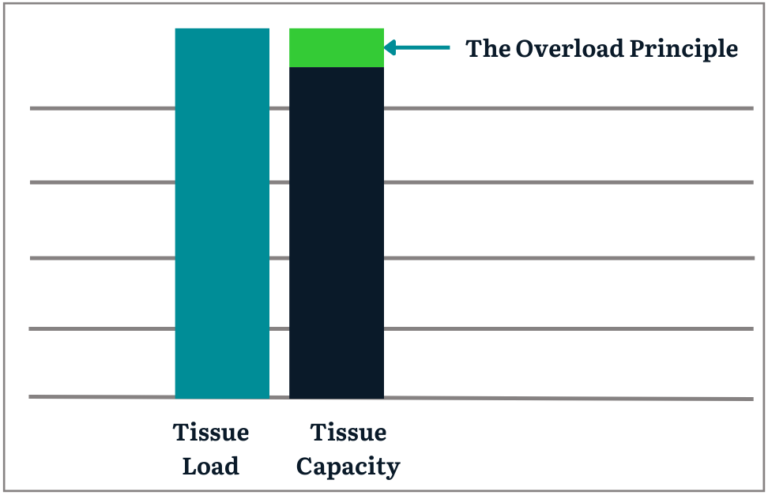 Design Your Own Gym Program - Link Health & Fitness